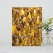 St. Thomas 2 (Standing Front)