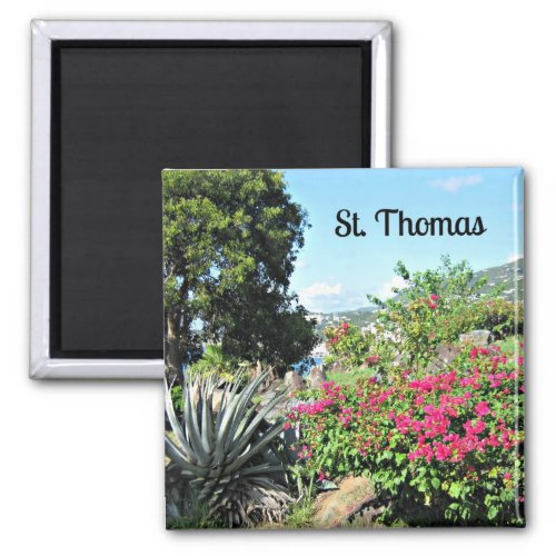 St Thomas Magnet