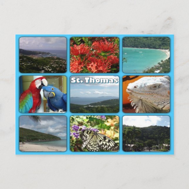 St. Thomas Photo Collage Postcard (Front)