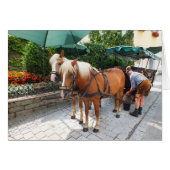 St Wolfgang in Austria (Front Horizontal)