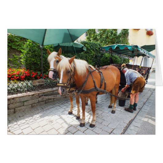 St Wolfgang in Austria (Front Horizontal)