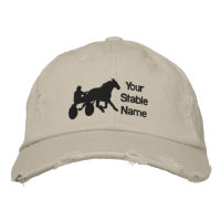 Stable Hat
