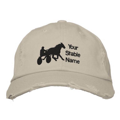 Stable Hat