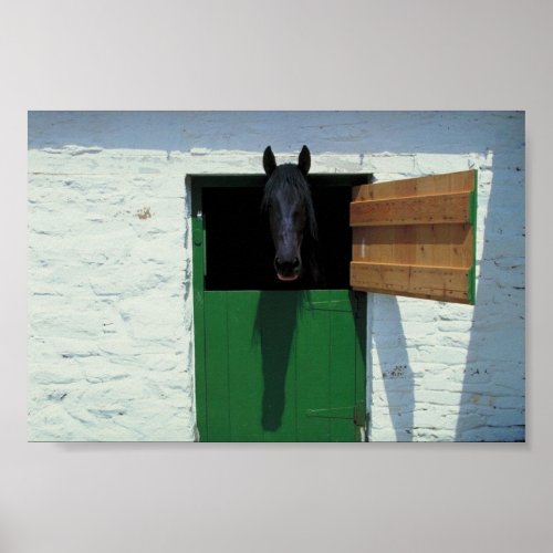 Stabled Horse with French Door Poster