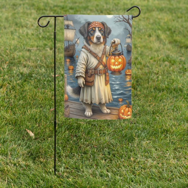 Stabyhoun Ghost Pirate with Pumpkin Lantern Garden Flag (In SItu)