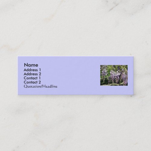 Stacey's Floral Design's Business Card