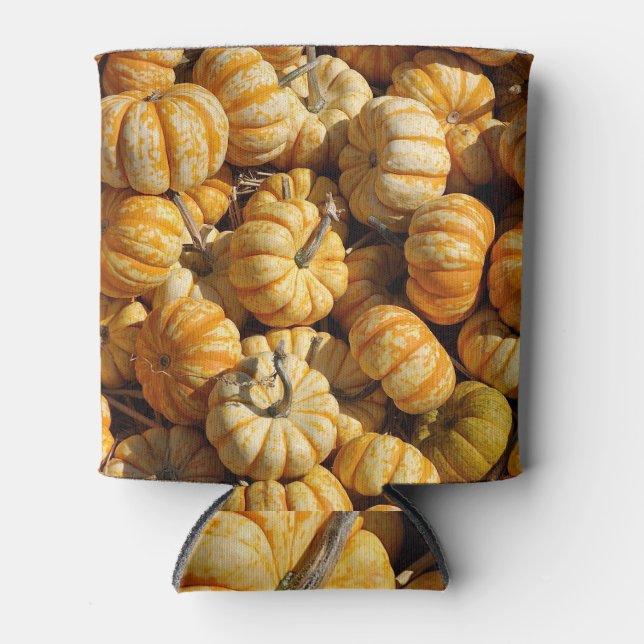 Stack of small pumpkins. can cooler (Front)