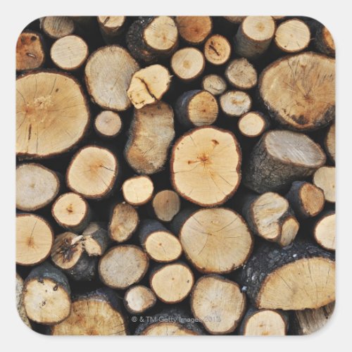 Stack of tree logs square sticker