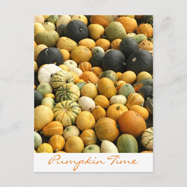 Stacked Pumpkins Postcard (Front)