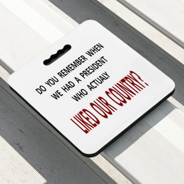 Stadium Seat Cushion (In Situ)