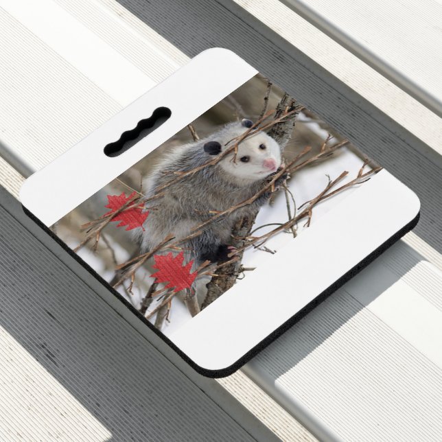Stadium Seat Cushion Opossum Nature (In Situ)