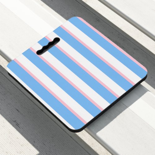 Stadium Seat Cushion Pink Blue & White Stripe