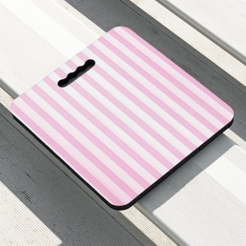 Stadium Seat Cushion Pink & White Stripe