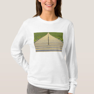 Stadium stairway between rows of green seats T-Shirt