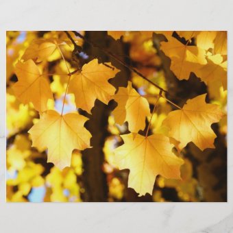 Staff Meeting Flyers Yellow Autumn Leaves Office | Zazzle