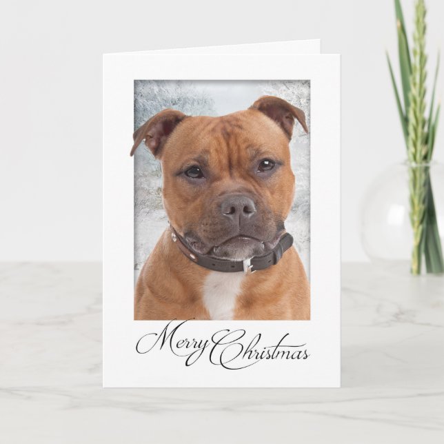 Staffie Christmas Card (Front)