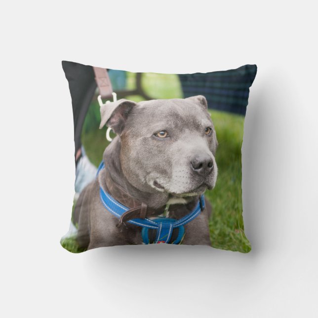 Staffie Throw Cushion (Front)