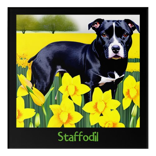 Staffodil _ Staffy in the Daffodils Acrylic Print