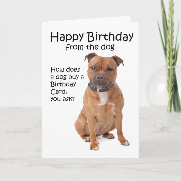STAFFORDSHIRE BULL TERRIER DOG HEAD STUDY BIRTHDAY GREETINGS NOTE CARD 