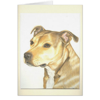 Staffordshire Bull Terrier Cards