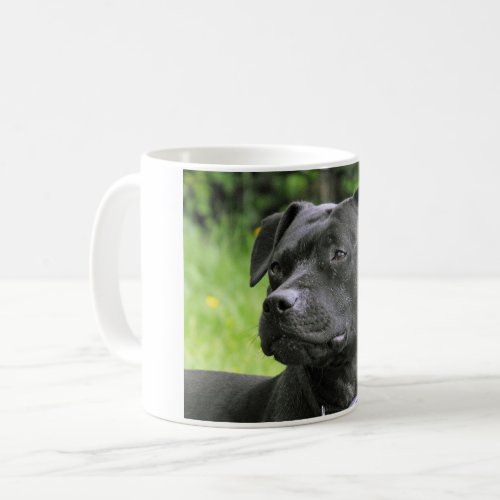 Staffordshire Bull Terrier Coffee Mug