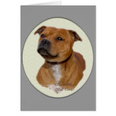 Staffordshire Bull Terrier Gifts (Front)
