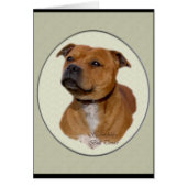 Staffordshire Bull Terrier Gifts (Front)