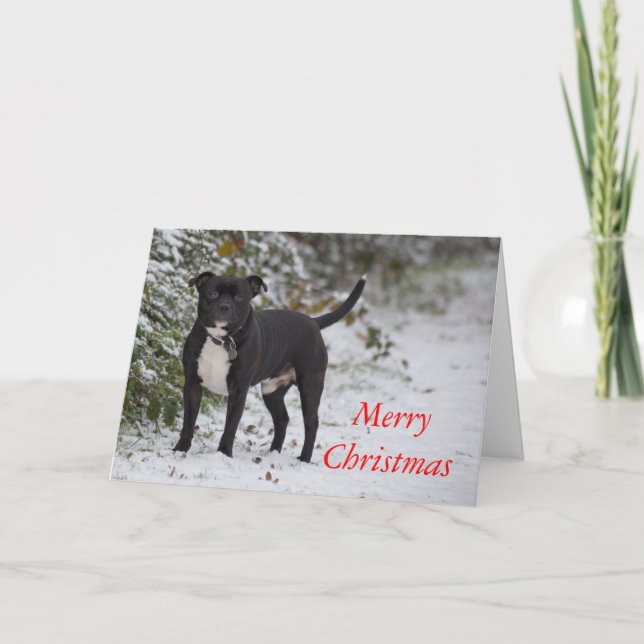 Staffordshire Bull Terrier Holiday Card (Front)