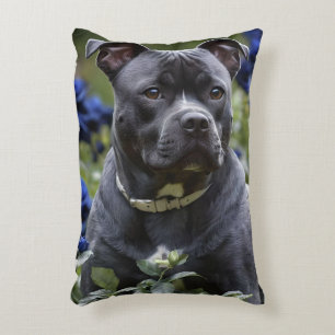 Staffordshire Bull Terrier In Blue Rose Garden, Accent Pillow