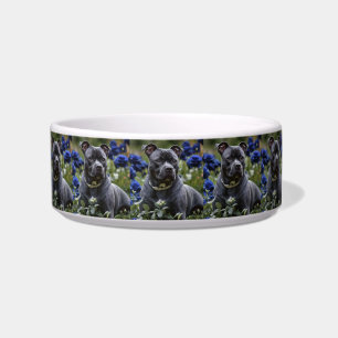 Staffordshire Bull Terrier In Blue Rose Garden, Bowl