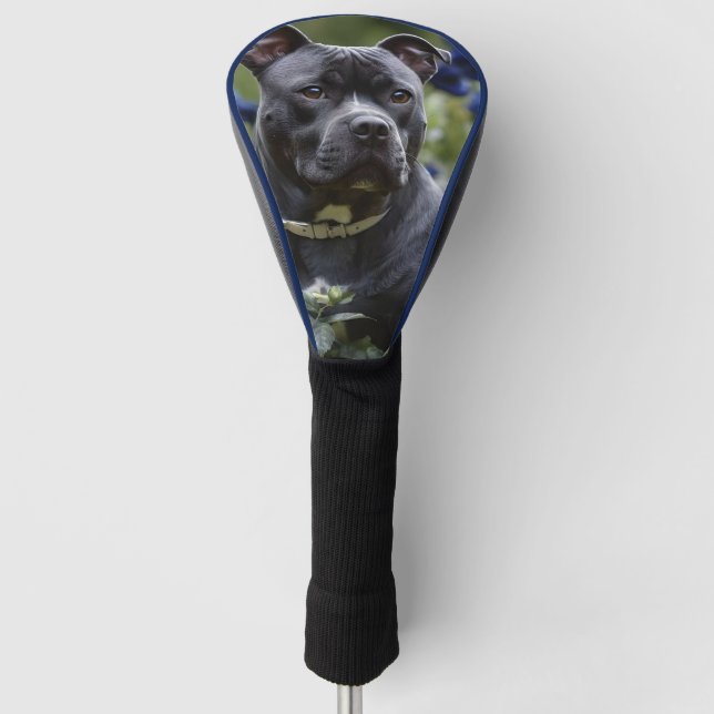 Staffordshire Bull Terrier In Blue Rose Garden,  Golf Head Cover (Front)