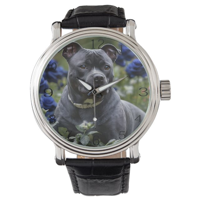 Staffordshire Bull Terrier In Blue Rose Garden,  Watch (Front)