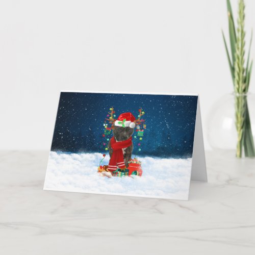 Staffordshire Bull Terrier in Snow with Christmas Card