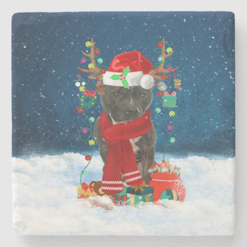 Staffordshire Bull Terrier in Snow with Christmas  Stone Coaster