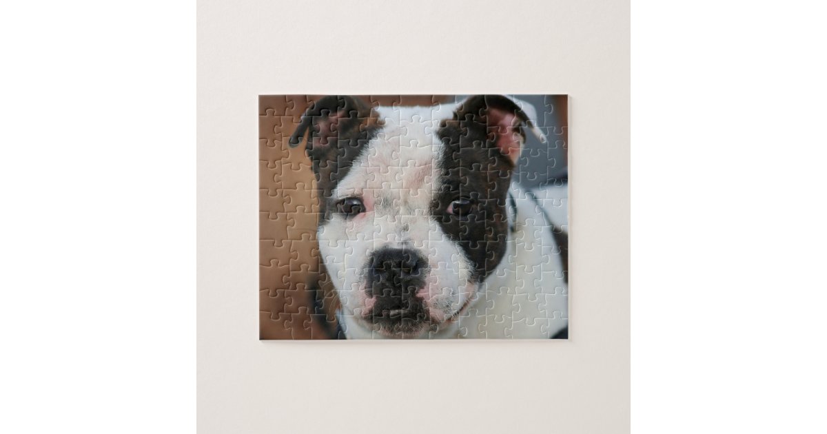 https://rlv.zcache.com/staffordshire_bull_terrier_jigsaw_puzzle-r087d9bd4de3149ac8a1a992634e9bc99_amb0f_8byvr_630.jpg?view_padding=%5B285%2C0%2C285%2C0%5D