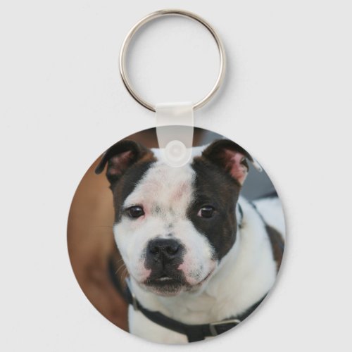 Staffordshire Bull Terrier keychain