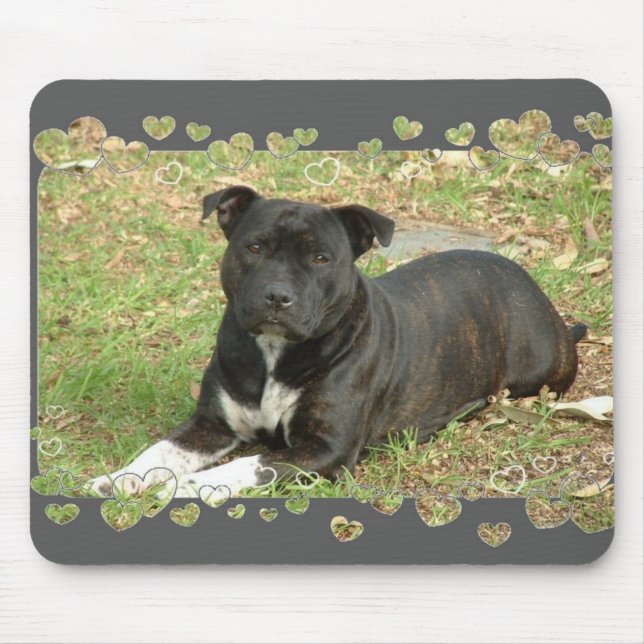 Staffordshire Bull Terrier mouse pad (Front)