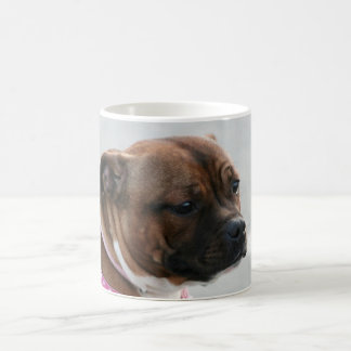 Staffordshire bull terrier mug