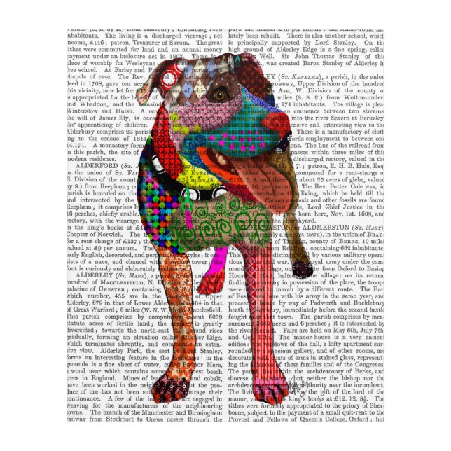 Staffordshire Bull Terrier - Patchwork Acrylic Print (Front)