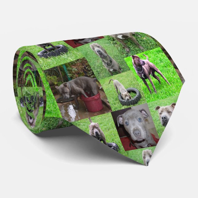 Staffordshire Bull Terrier Photo Collage, Neck Tie (Rolled)