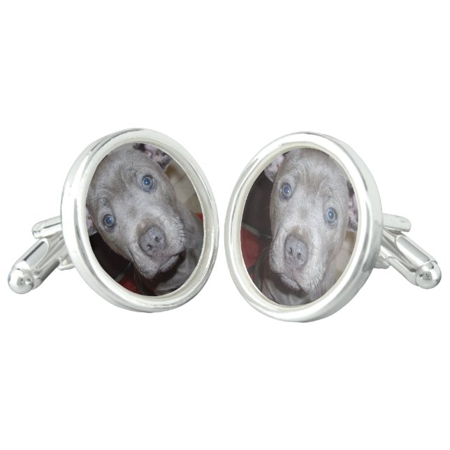 Staffordshire Bull Terrier Puppy, Cufflinks (Angled)
