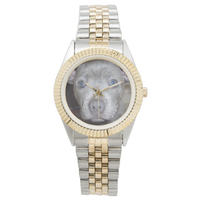 Staffordshire Bull Terrier Puppy Face, Watch (Front)