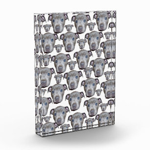 Staffordshire Bull Terrier Puppy Faces, Photo Block
