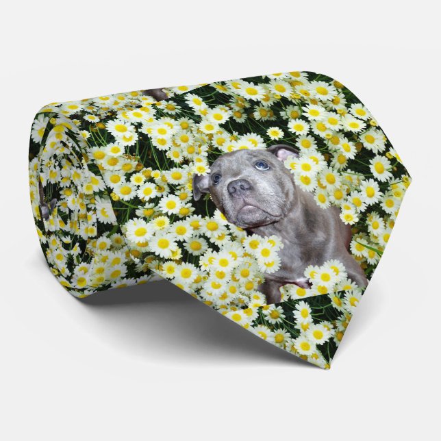 Staffordshire Bull Terrier Puppy In Daisies, Neck Tie (Rolled)