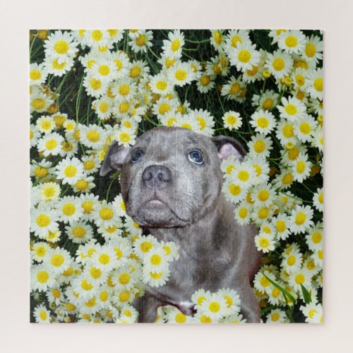 Staffordshire Bull Terrier Puppy In The Daisies Jigsaw Puzzle