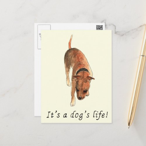Staffordshire Bull Terrier Saying Postcard