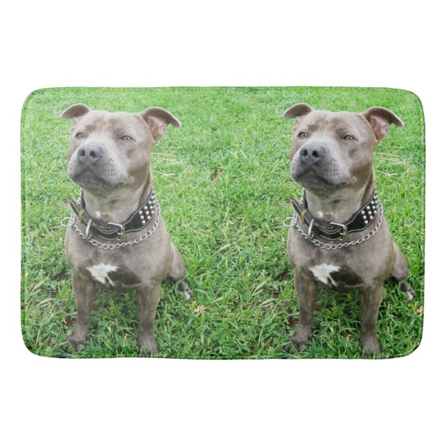 Staffordshire Bull Terrier Sitting At Attention,  Bath Mat (Front)