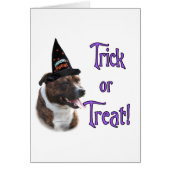 Staffordshire Bull Terrier Trick (Front)