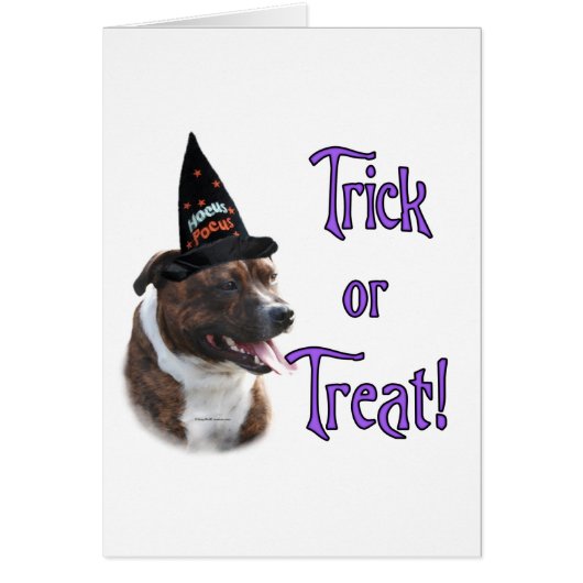 Staffordshire Bull Terrier Trick (Front)