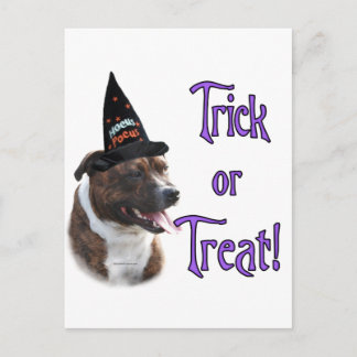 Staffordshire Bull Terrier Trick Postcard